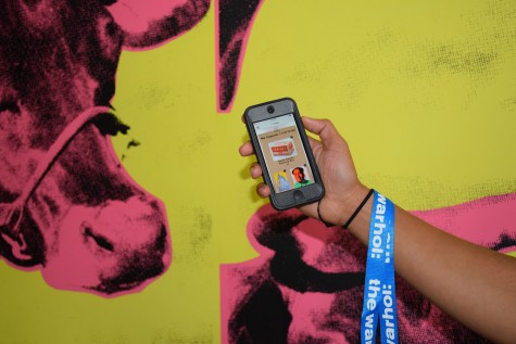 A close up view of a person's hand holding a cell phone against a pink and yellow screenprint of a cow's head.