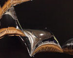 Rectangular silver mylar balloons float against a dark background.