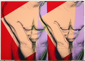 A multicolored print of two identical male torsos side by side.