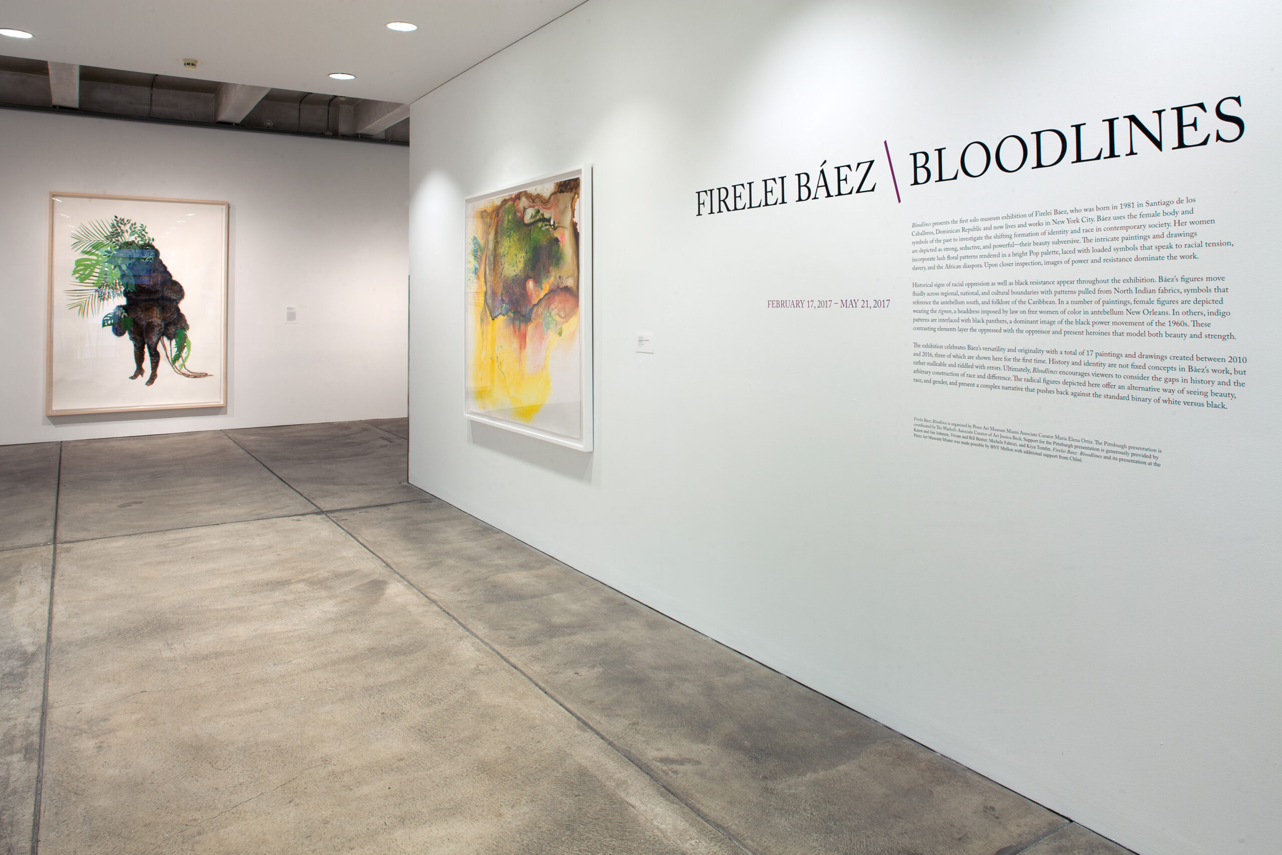A gallery featuring wall text explaining Firelei Baez's Bloodlines exhibition and two large abstract paintings by the artist.