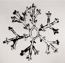 A drawing of a snowflake outlined in black ink against a white background