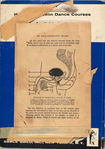 A yellowed page from a sexual education book featuring a diagram of male sexual anatomy is taped to the blue cover of a how to dance book.