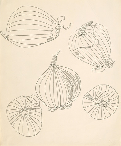 The off-white page is filled with five line drawings of an onion from different angles.
