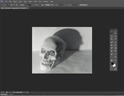 This is an image of a computer screen showing a black and white photograph of a human skull sitting on a table. The skull casts a dark shadow against the wall. The digital photo editing software Adobe Photoshop is open and shows multiple options for editing on the screen.