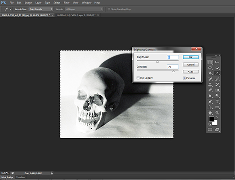 This is an image of a computer screen showing a black and white photograph of a human skull sitting on a table. The skull casts a dark shadow against the wall. The digital photo editing software Adobe Photoshop is open and shows options for adjusting the brightness and contrast of the image on the screen.