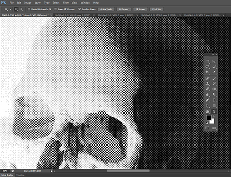 This is an extreme close up of an image of a computer screen showing a black and white photograph of a human skull. The skull shows a series of dots that make up the image. Some dots are lighter and some are darker.