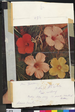 A magazine clipping of a photo of four flowers (two pink, one red, and one yellow) with thin green stems and leaves. The magazine clipping is glued onto two pieces of irregularly cut paper, which are held together with four pieces of masking tape. Faint pencil marks can be seen above and below the image.