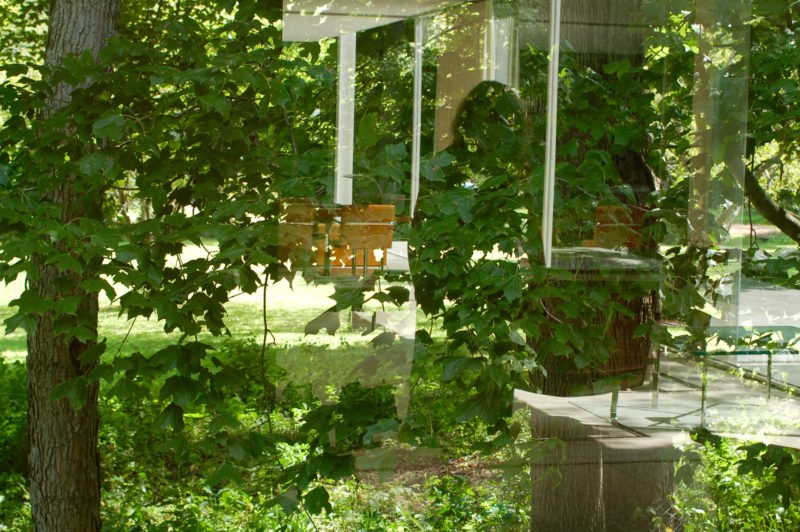 Trees and leaves border the image. The silhouette of a woman can be seen in the center. It is as if she is positioned in front of the house, looking through the glass windows. Glimpses of furniture are evident, nestled within the reflections of branches and leaves.