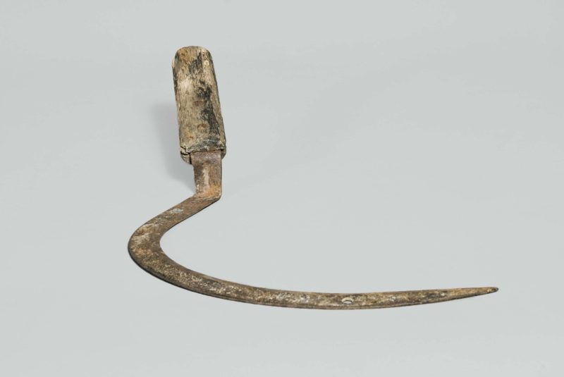 Front view of a worn sickle with a wooden handle.