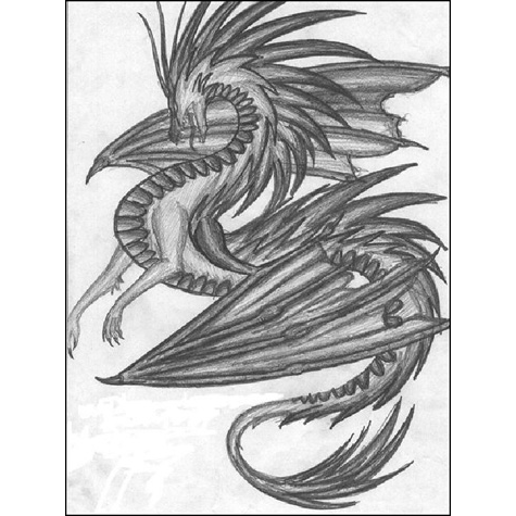 Pencil drawing of a dragon