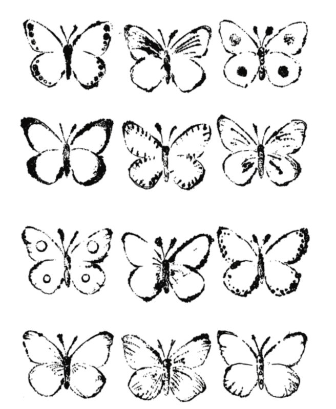A black and white image of 12 butterflies with different patterns