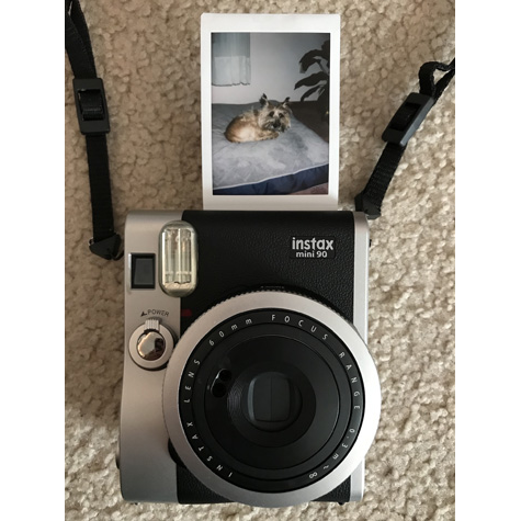 Polaroid camera with a photo of a dog