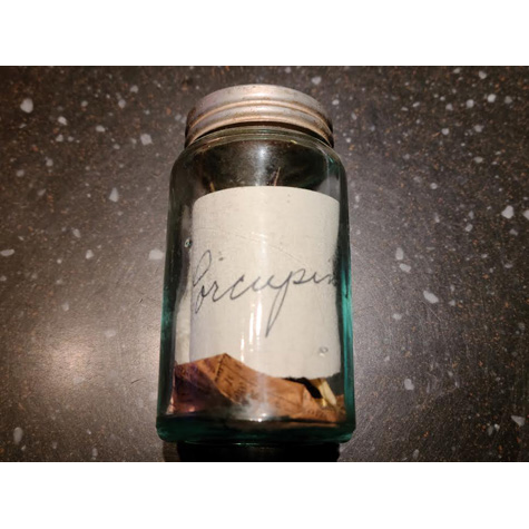 A glass bottle with a lid and the word Porcupine written in cursive on the label.