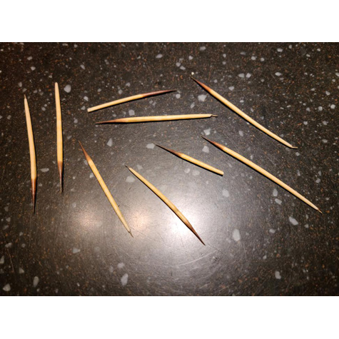 Eight, long, black and white porcupine quills spread out on a table.