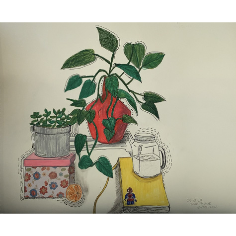 Still life drawing of plants, a box, a book, mason jar and an orange