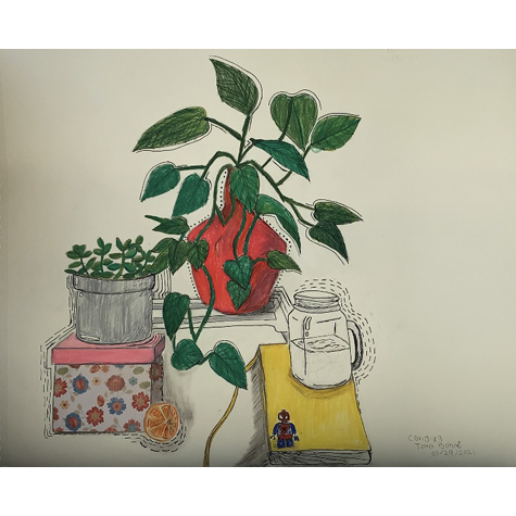 Still life drawing of plants, a box, a book, mason jar and an orange