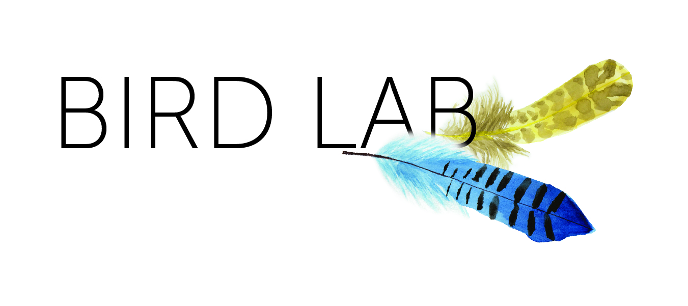 Bird Lab