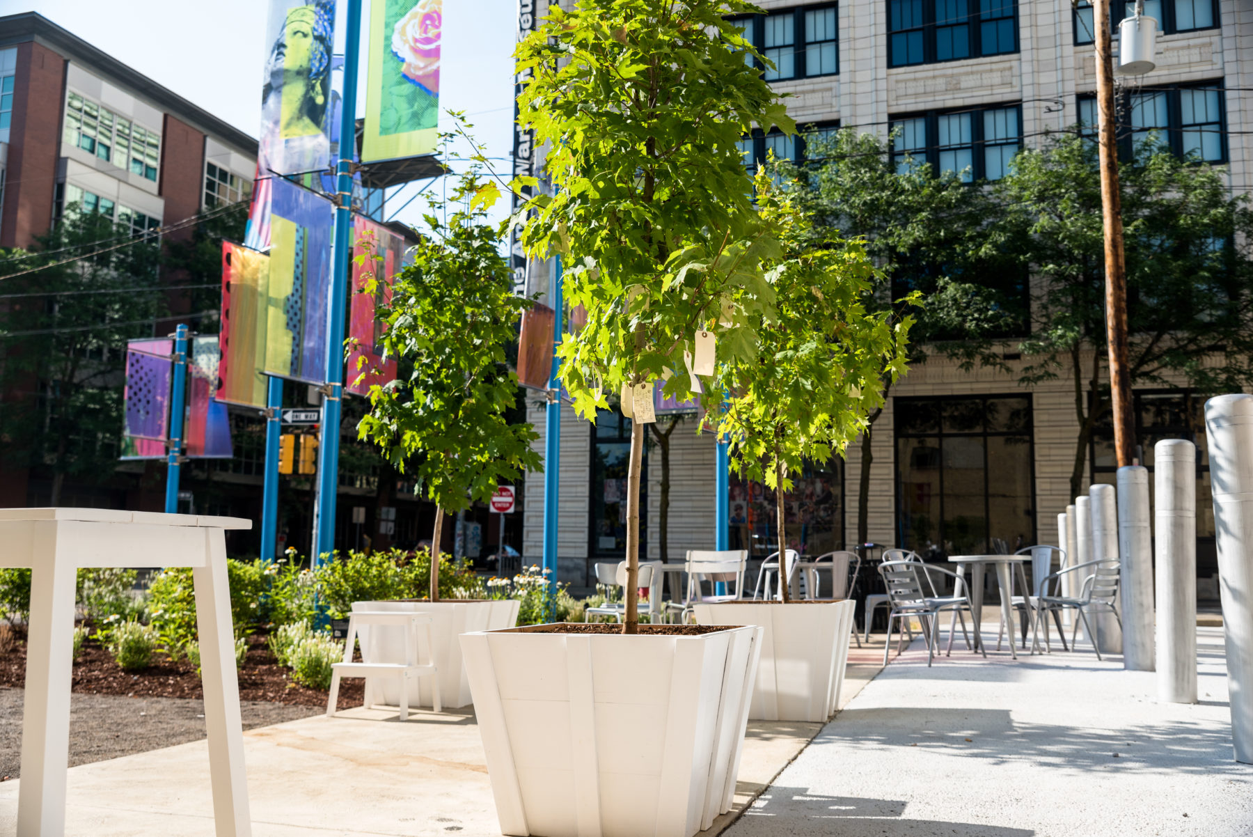 Three sugar maple trees in wooden planters in the foreground of a park-like setting across the street from the museum.