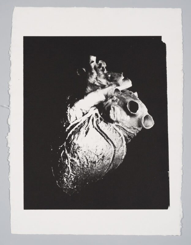 A black and white screenprint of a human heart.