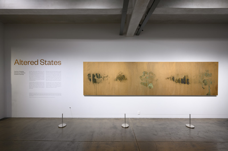 Exhibition view of 'Altered States' at The Andy Warhol Museum. Wall text to the left of a long rectangular brownish-gold abstract painting.