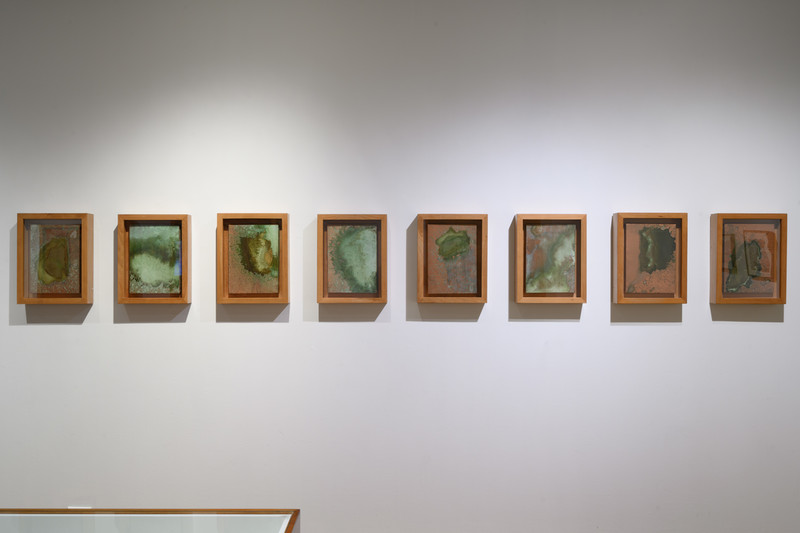 8 small rectangular abstract brownish-gold with green paintings, all framed in wooden frames and displayed horizontally in a row.