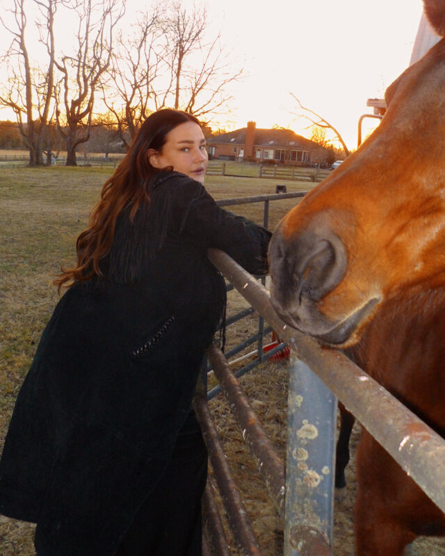 Person in a black coat brushing a brown horse in a fenced area during sunset.
