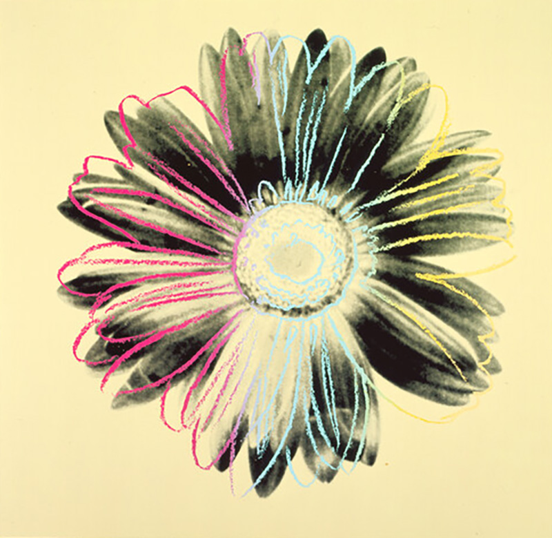 A screenprint of a daisy on a yellow background with various colored lines outlining the petals.