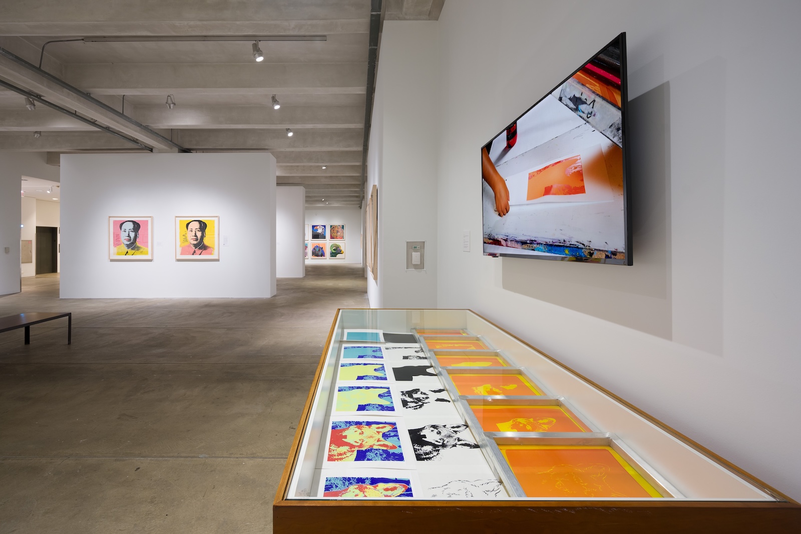 Modern art gallery with white walls and concrete floors. A television screen on the wall displays a video of someone creating art. Below it, a glass display case holds multiple colorful prints and images arranged neatly. Additional artworks are mounted on the surrounding walls.