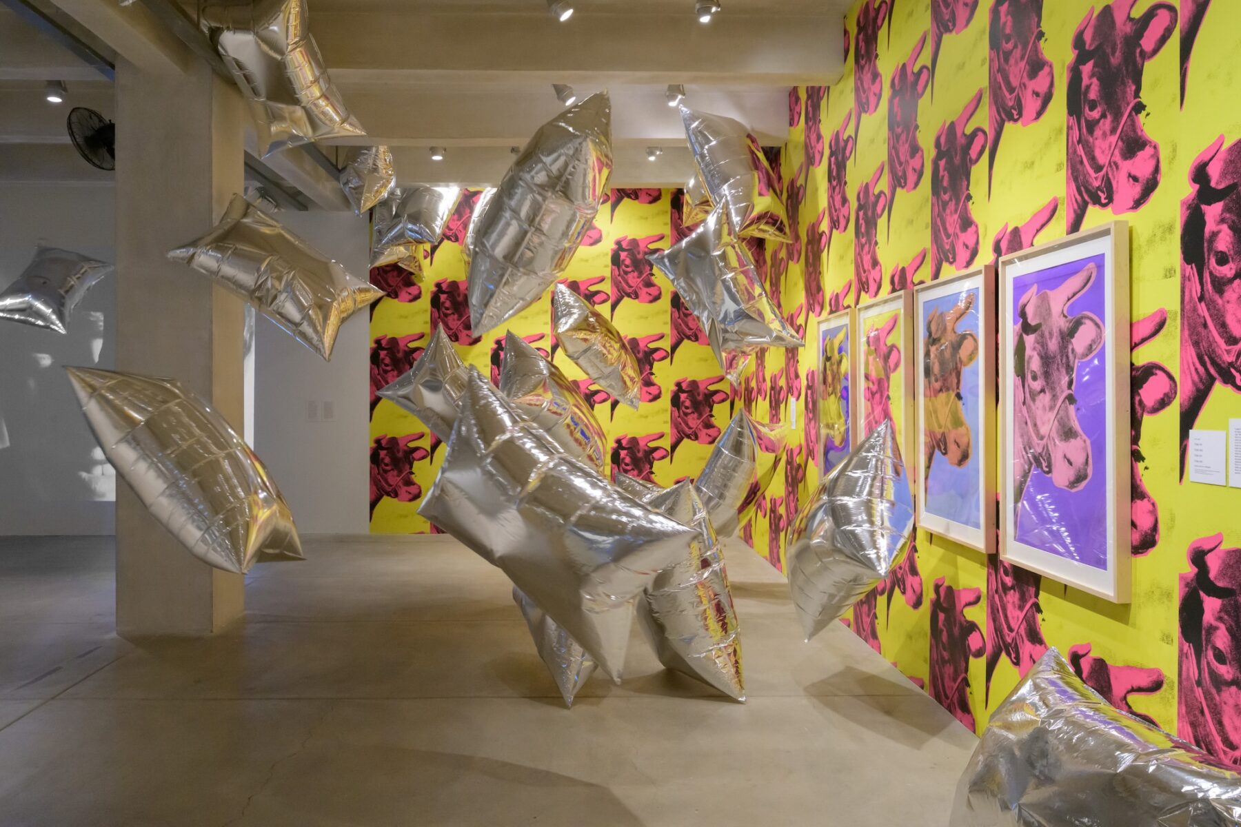 The corner of a room with cement ceiling and floor, the back wall is covered in wallpaper depicting pink cow heads on a yellow background. Large silver pillow shaped balloons obscure and reflect the wall and its paintings of cows.